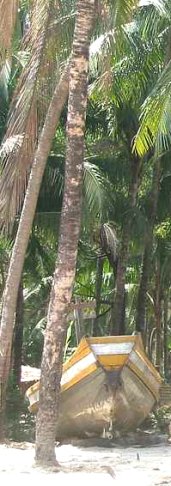 ngapali